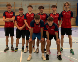 drużyna siatkarzy przed meczem na boisku