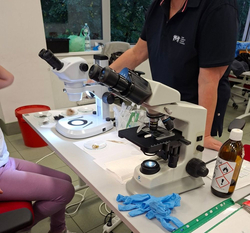 Na zdjęciu widać stanowisko laboratoryjne z mikroskopami, preparatami oraz wyposażeniem do pracy badawczej. Uczestnicy wydarzenia mogli przyjrzeć się z bliska pracy laboratoryjnej i poznać podstawy badań mikroskopowych.